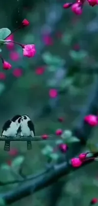 This mesmerizing live wallpaper features a charming black and white cat perched on a tree branch amidst a stunning floral arrangement, beautifully brought to life by artist Xie Shichen