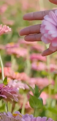 This breathtaking phone live wallpaper features a stunning pink flower present amidst fields of blossoming flowers