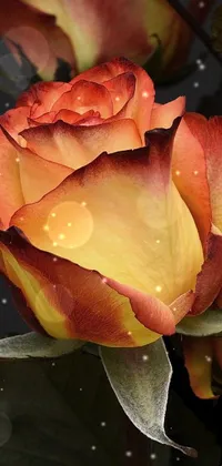 This beautiful phone live wallpaper features a stunning close-up view of a vase filled with vibrant flowers