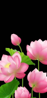 This phone live wallpaper features a group of beautiful pink flowers with green leaves in a vector art style