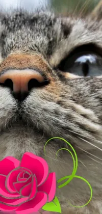 Decorate your phone with a stunning live wallpaper of a charming cat