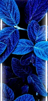 This phone live wallpaper boasts a trending digital art design featuring blue leaves with a white frame and neon pillars that illuminate the nature-inspired emojis including a flamingo, planet, ladybug, woman and hydrangea