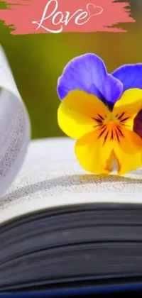 This live wallpaper for phones features a stunning purple and yellow flower on top of an open book amidst lush greenery and colorful flowers