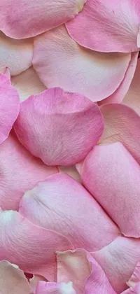 Enhance your phone's aesthetic with this visually pleasing live wallpaper of a bunch of pink petals