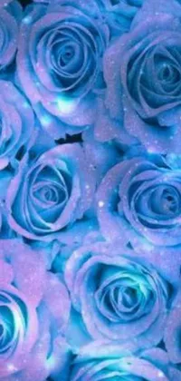 This blue roses phone live wallpaper is sure to grab attention with its stunning close-up view of a bunch of vivid flowers
