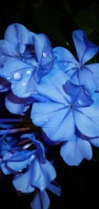 This phone live wallpaper showcases lovely blue flowers in a close-up portrait style