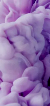This mesmerizing phone live wallpaper showcases a stunning purple flower in close-up view