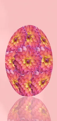 Flower Plant Petal Live Wallpaper
