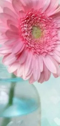 This live wallpaper showcases a pink flower placed in a glass vase, providing a romantic ambiance