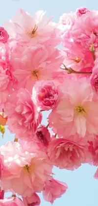 Enjoy the natural beauty of a beautiful pink flower tree on your phone with this live wallpaper