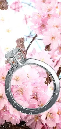 blossom ring  Live Wallpaper