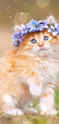 If you love cats and wildflowers, this phone live wallpaper is perfect for you! Enjoy the charming image of a cat wearing a beautiful flower crown, surrounded by its playful and adorable kittens