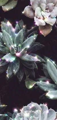 This phone live wallpaper showcases a vibrant close-up of lush foliage enveloped in twinkling fairy lights