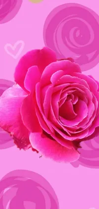 This live wallpaper features a stunning close-up of a pink flower in full bloom on a gradient pink backdrop