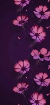 This phone live wallpaper features a beautiful arrangement of pink flowers on a black background