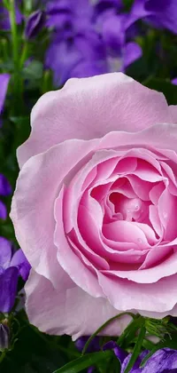 magic flower Live Wallpaper