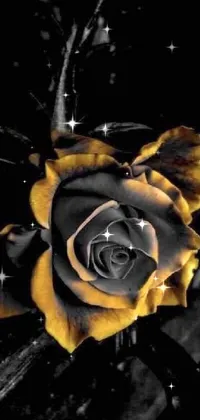 This live wallpaper boasts a striking black and yellow rose on a wooden bench against a black background with gold and silver accents