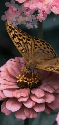 This stunning phone live wallpaper features a realistic butterfly perched gracefully atop a pink flower, adding a pop of color to the background
