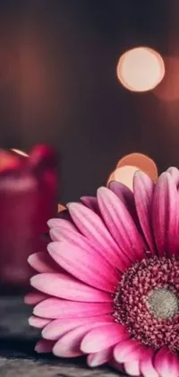 Looking for a gorgeous and sophisticated live wallpaper for your phone? Look no further than this stunning image of a pink flower on a table, accompanied by a lit candle
