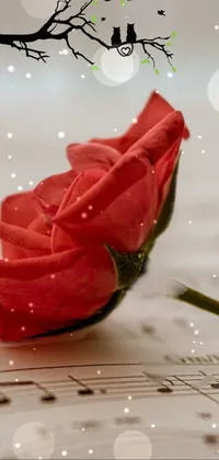 Get lost in the beauty of this stunning phone live wallpaper featuring a red rose atop a delicate sheet of music