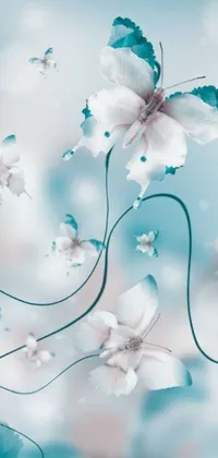 This phone live wallpaper features a stunning digital art piece of white flowers on a blue background