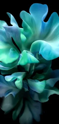 This stunning live wallpaper depicts a detailed close-up of a flower on a sleek black background, inspired by modern digital art techniques