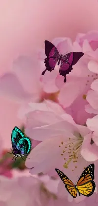This phone live wallpaper showcases a group of multi-colored butterflies perched on top of a pink flower
