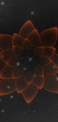 This stunning live wallpaper for phones features a mesmerizing close-up shot of a beautiful flower