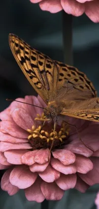 This live wallpaper features a beautiful butterfly perched on a pink flower