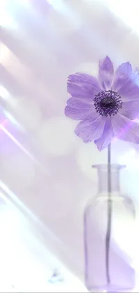 This elegant phone live wallpaper showcases a purple flower in a clear glass vase, surrounded by anemones and lilacs