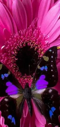 This lovely live phone wallpaper features a butterfly perched upon a pink flower, amidst a surrounding color palette of deep purple and black