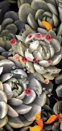 This phone live wallpaper features a group of stunning succulents stacked atop one another, rendered in intricate detail by a skilled artist
