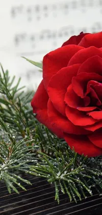 This phone live wallpaper showcases a red rose and guitar duo set amidst a wintry scene