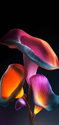 This stunning live wallpaper features a close up view of a bright and colorful tulip with sleek and flowing shapes