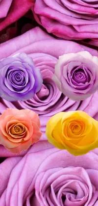 This phone live wallpaper showcases a stunning bunch of deep purple roses in a close-up view