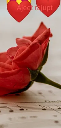This phone live wallpaper depicts a stunning red rose with delicate petals, sitting atop a beautifully composed sheet of music