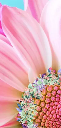 Get mesmerized by this vivid and colorful close-up wallpaper of a pink flower on a blue backdrop