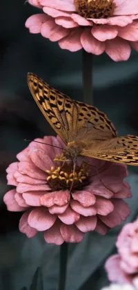 This beautiful phone live wallpaper features a lovely butterfly perched on top of a pink flower, surrounded by muted brown tones and tonalism style