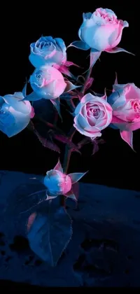 This stunning live wallpaper showcases a delightful bouquet of pink and blue roses artfully arranged in a vase