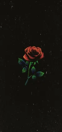 This phone live wallpaper showcases a vibrant red rose resting on a dark black surface that is ideal for AMOLED screens