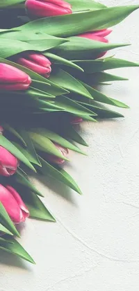 Introduce a beautiful live wallpaper for your phone showcasing a bunch of pink tulips