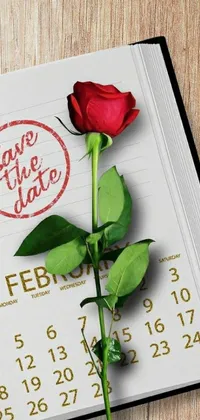 This lovely live wallpaper features a beautiful rose placed atop a calendar bearing a highlighted date