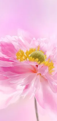 This phone live wallpaper features a stunning close-up of a beautiful pink peony flower with a bee perched on top
