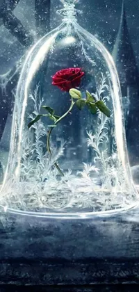 This stunning live phone wallpaper features an intricate image of a rose enclosed in a glass dome