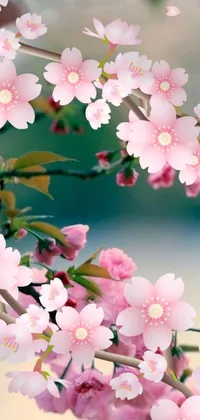 This live wallpaper features a beautiful display of pink flowers on a tree branch, with a serene blue sky background