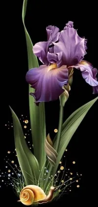 This phone live wallpaper features a high-detailed digital art composition of violet irises on a black background