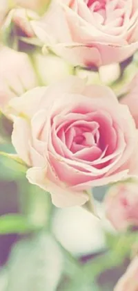 This phone live wallpaper features pink roses arranged in a vase