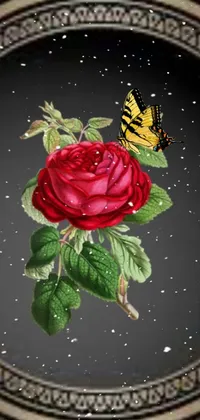 This vibrant and stunning live wallpaper features a digitally painted rose with a butterfly perched on top