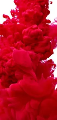 This phone live wallpaper showcases a highly detailed 8K close-up of red pigments on a clean white background