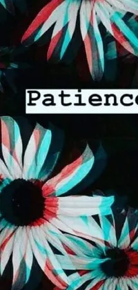 This live wallpaper comprises a bunch of flowers with the word patience inscribed on it